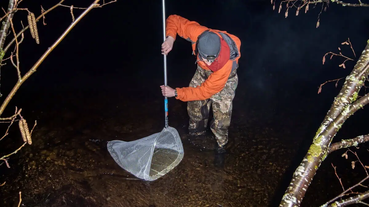 Smelt Dipping Is the Wild U.P. Spring Tradition Where Yoopers Wade Into Freezing Rivers at Midnight