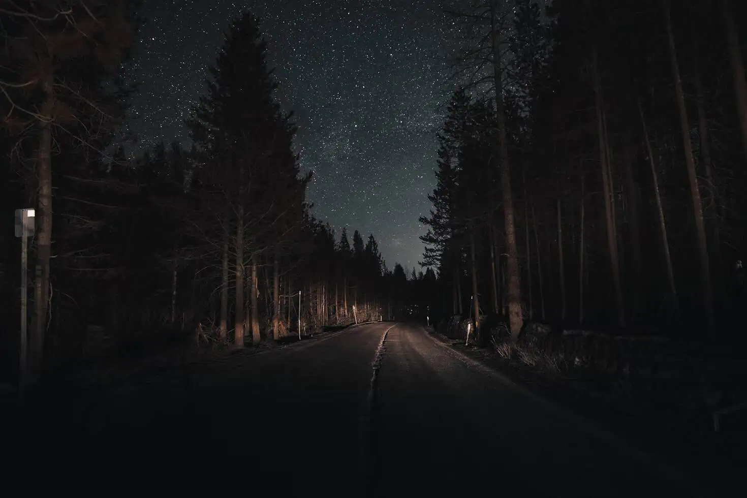 Dark forest road at night for an article about Michiganโs Paulding Light mystery