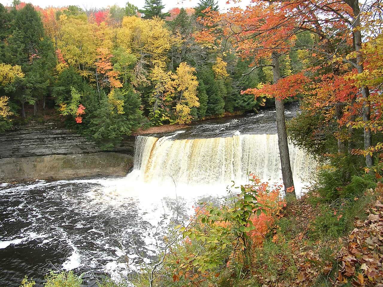Why Tahquamenon Falls Runs the Color of Root Beer (No, It Isn&rsquo;t Dirty)