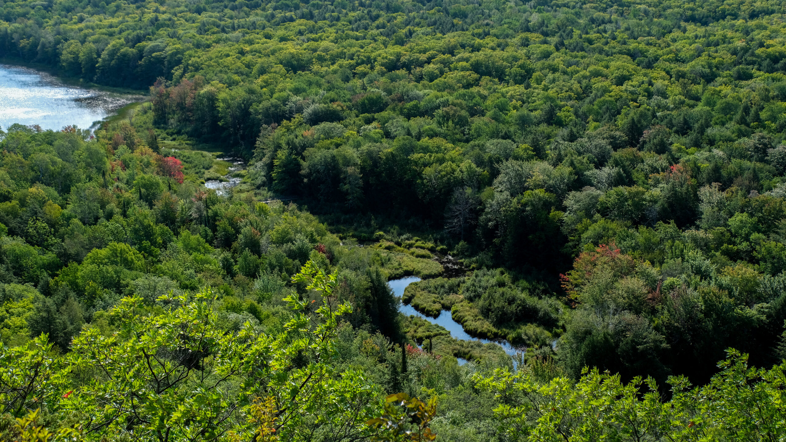 The Most Photographed View in the U.P. Sits on Top of a Forest That Was Almost Lost