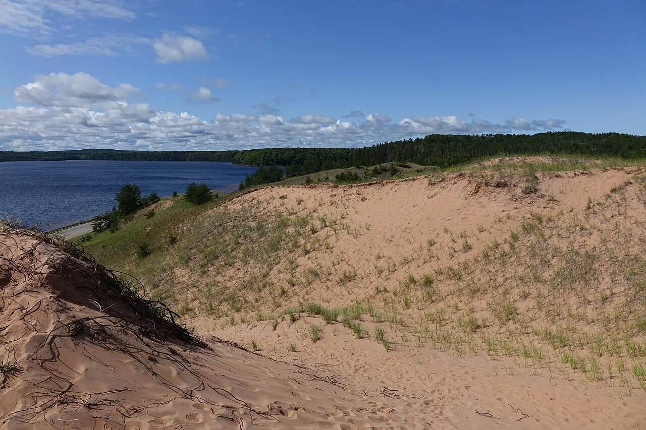 There’s a Ghost Forest in the U.P. Where the Trees Never Grew Back