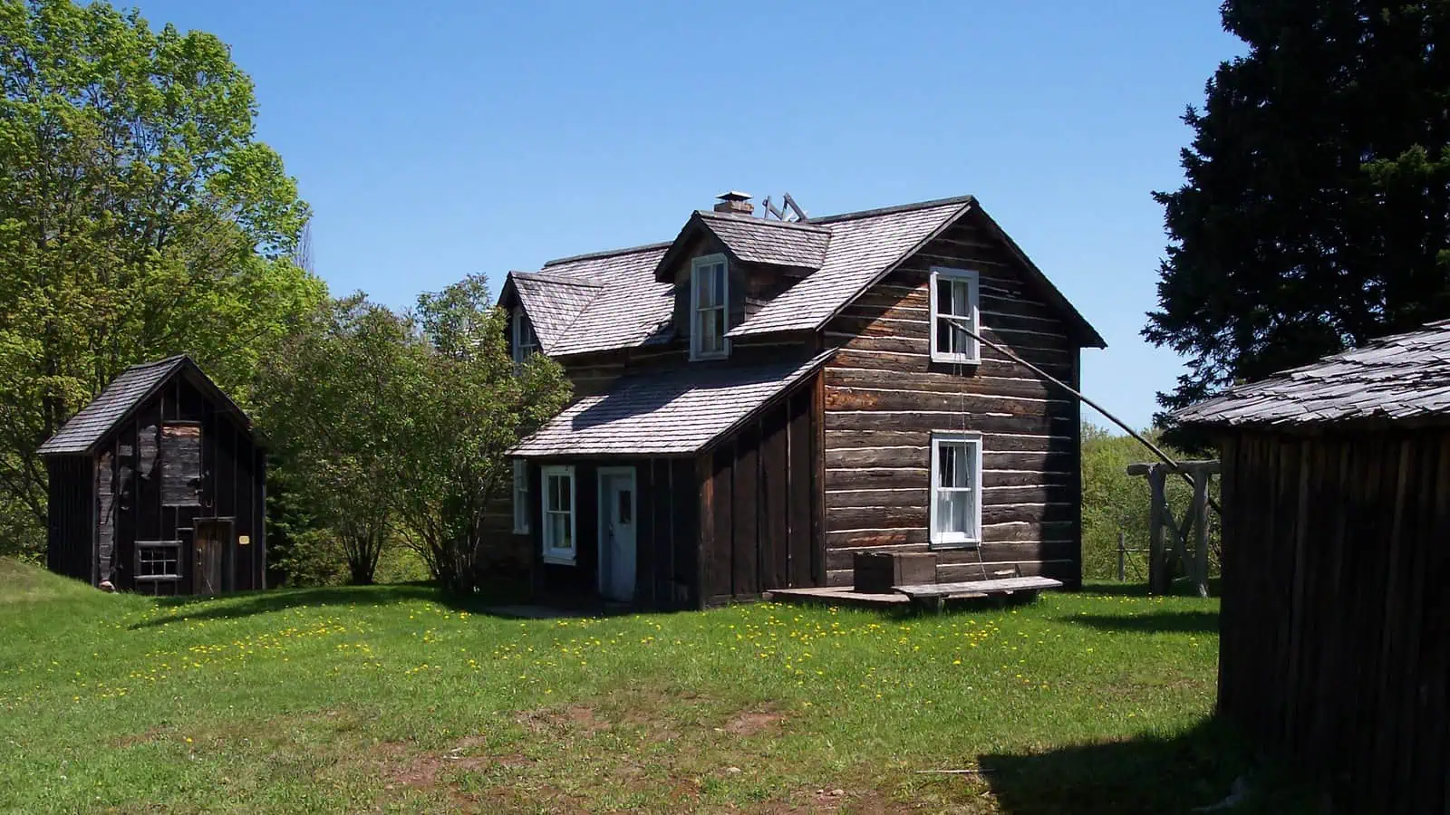 A two-storey hewn log farmhouse with a shingled roof and white-trimmed windows stands on a mown lawn scattered with dandelions, a small log outbuilding to the left and woods behind, under a clear blue sky.