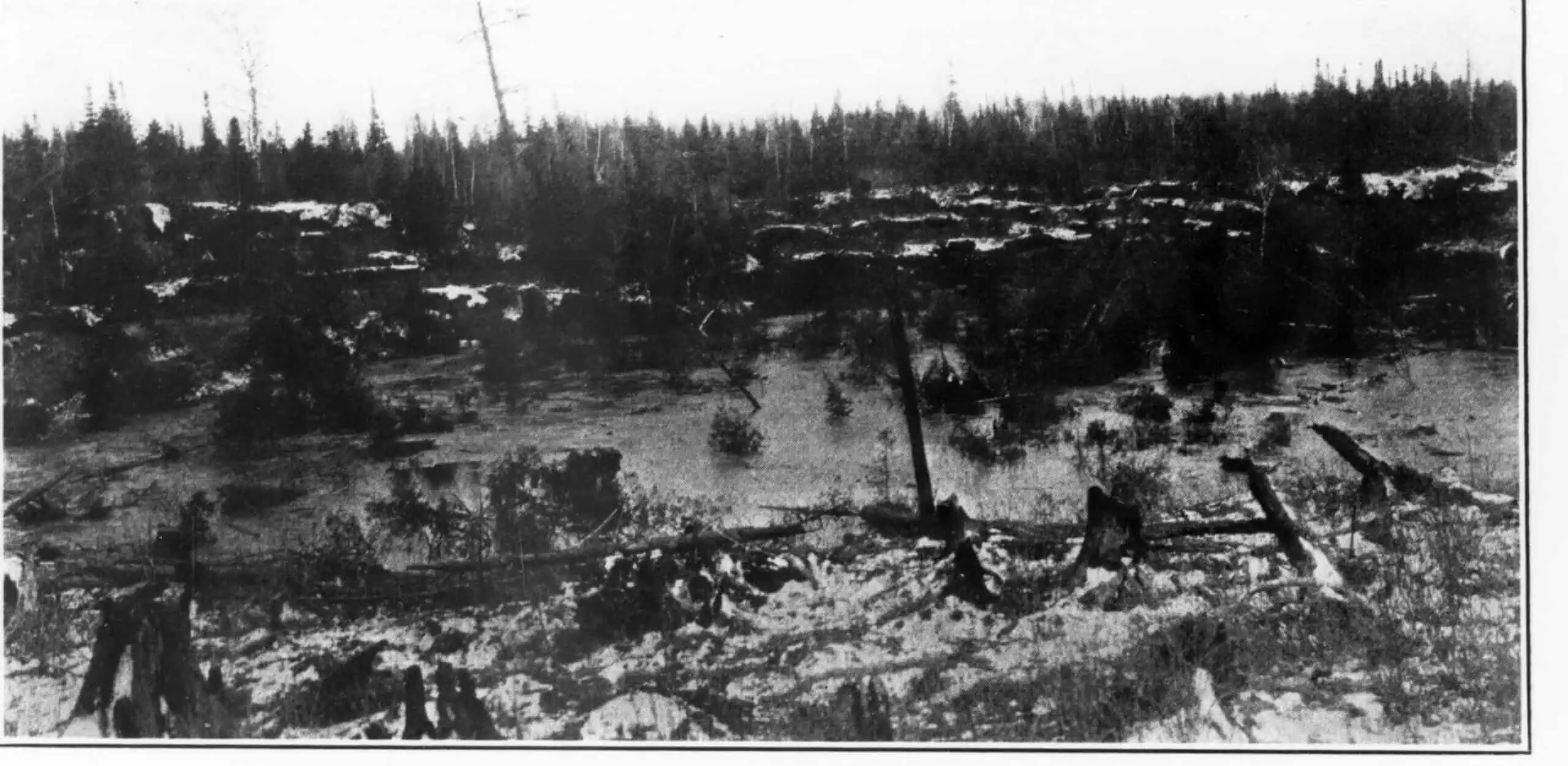 1926 black-and-white photograph of flooded, broken ground with snapped and half-submerged trees in front of a line of spruce: the cave-in at the surface above the Barnes-Hecker mine near Ishpeming.