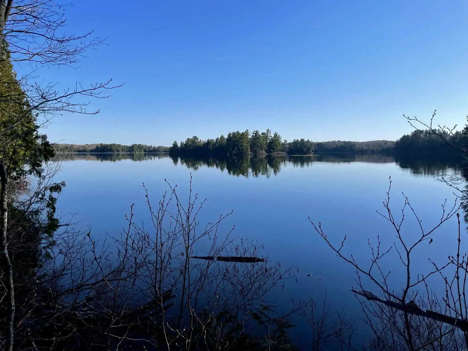Craig Lake in Craig Lake State Park, Michigan. Photo: Seclusive Nature, CC BY-SA 4.0.