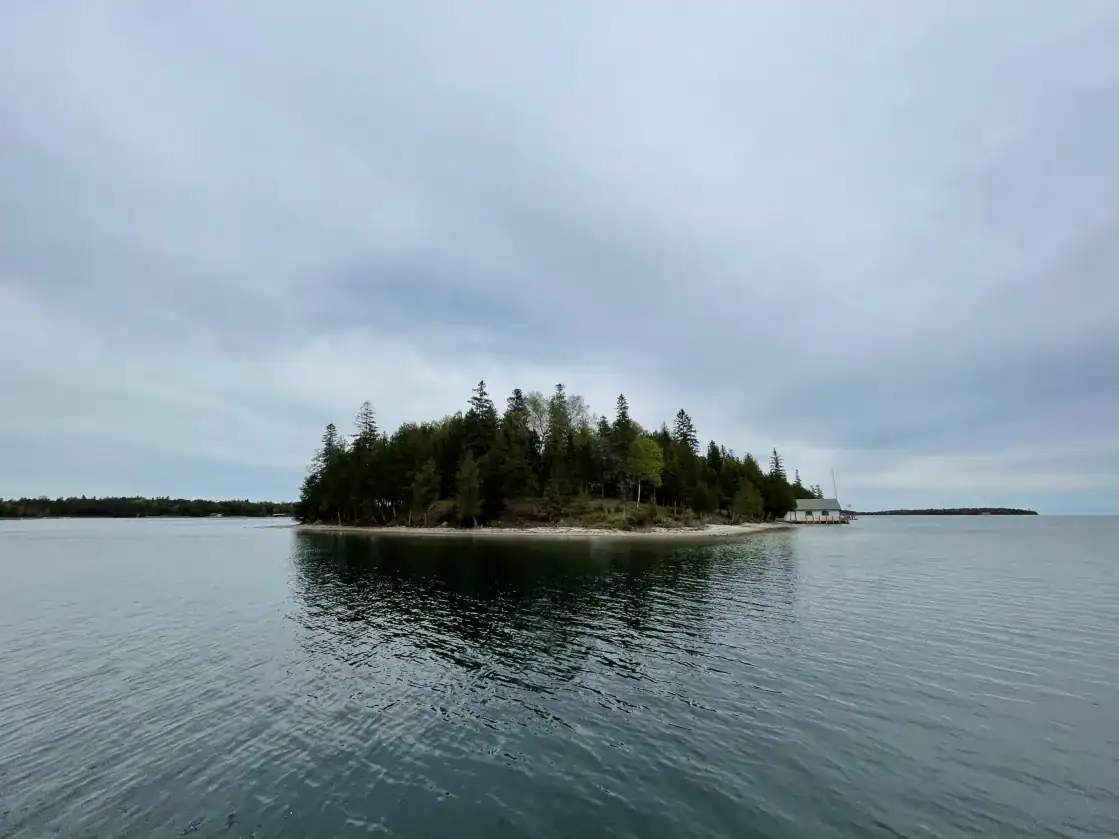 A low wooded island seen across open water, with no roads or development visible on it