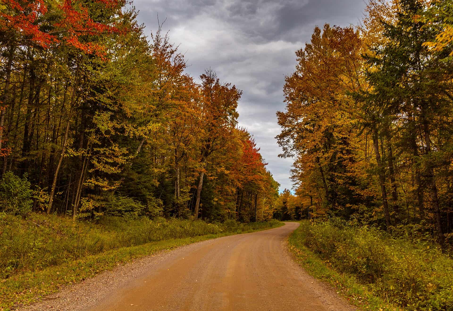 Fall color along a road in the Ottawa National Forest in the western Upper Peninsula