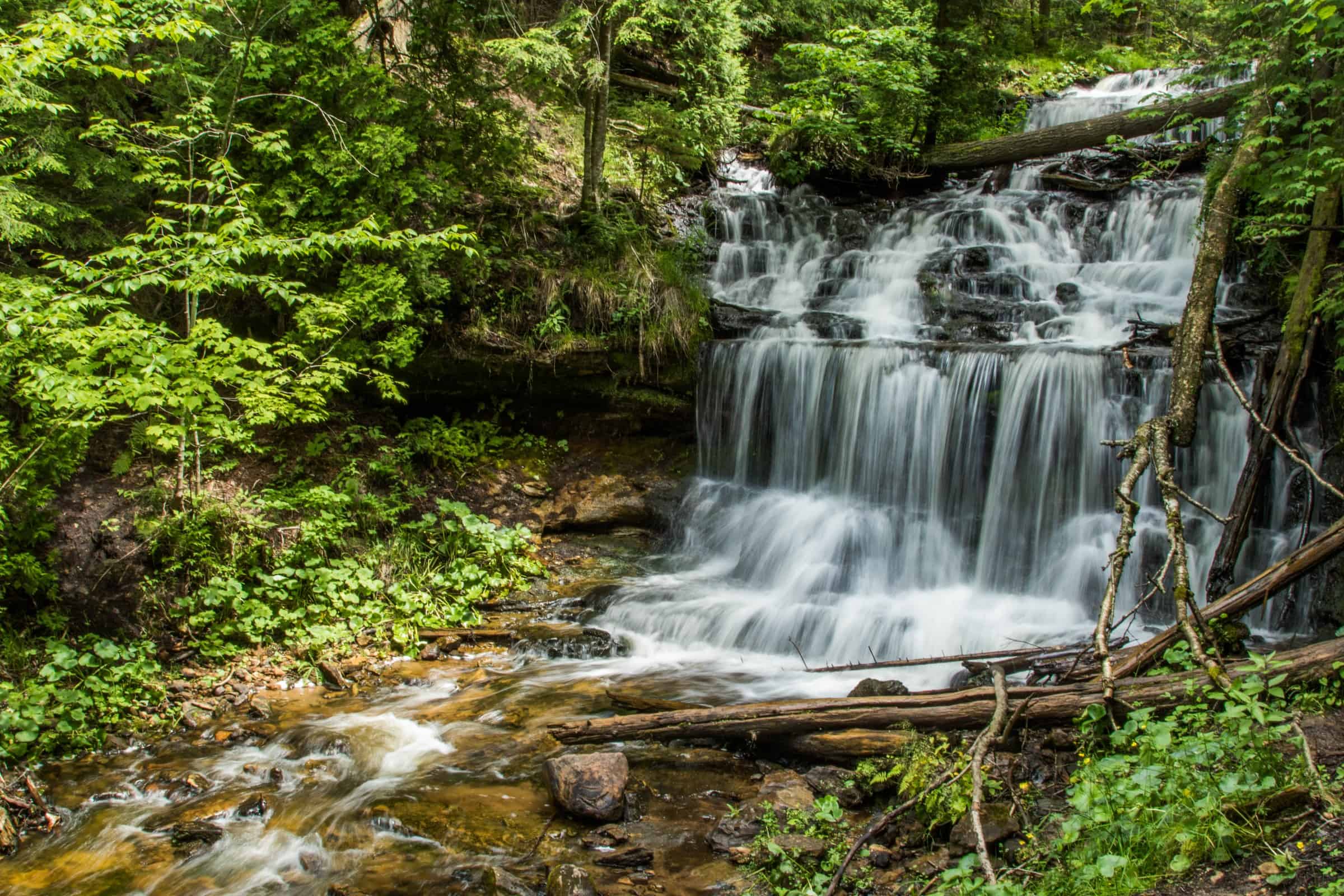 Water spilling in thin white sheets down a series of dark rock ledges in a shaded green forest, with rocks and a fallen log at the base. Photo: LadyDragonflyCC / Wikimedia Commons (via Flickr) (CC BY 2.0).