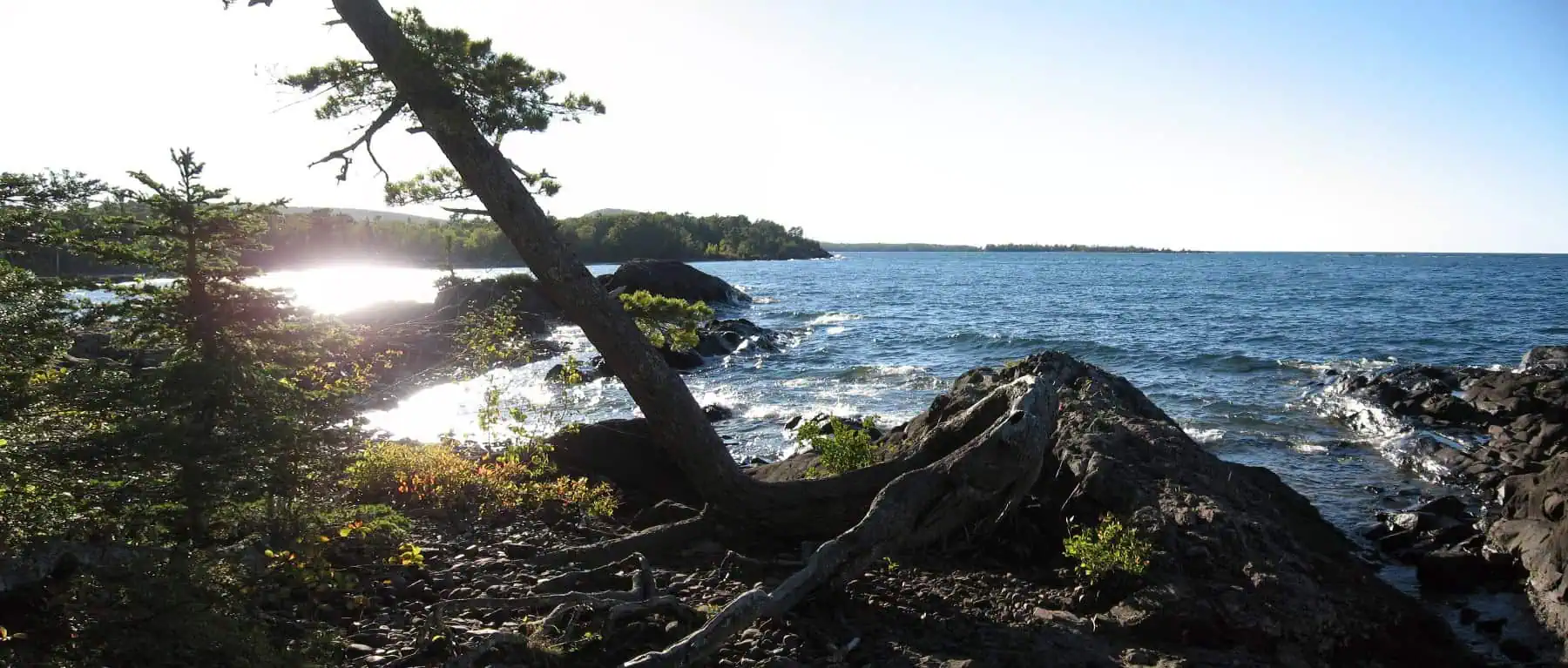 Forest and shoreline near Copper Harbor, Michigan. Photo by Robert Emperley, CC BY-SA 2.0.