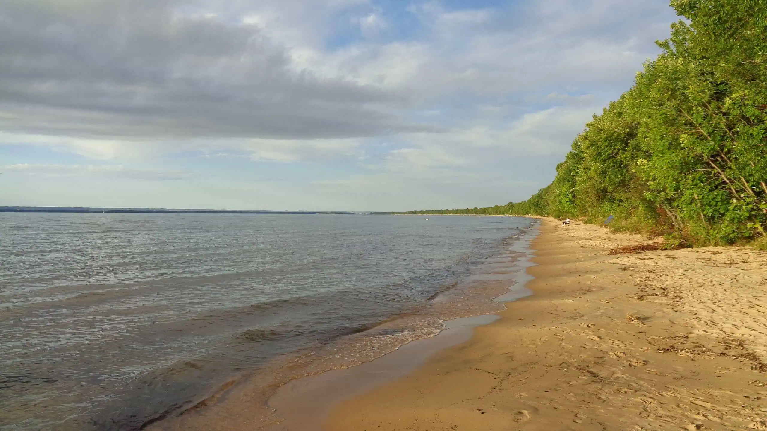 Sandy Lake Superior beach at Brimley State Park curving away under a partly cloudy sky, with trees along the right side of the shore. Photo: Notorious4life / Wikimedia Commons (CC0).