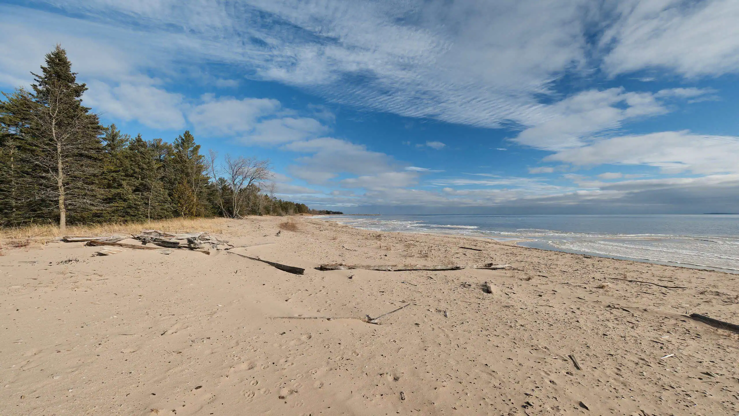 Wide sand beach on Green Bay at J.W. Wells State Park, with pines along the left edge under streaked winter clouds. Photo: Chris Rycroft / Wikimedia Commons (CC BY 2.0).